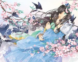 芒果视频永久回家导航麻豆